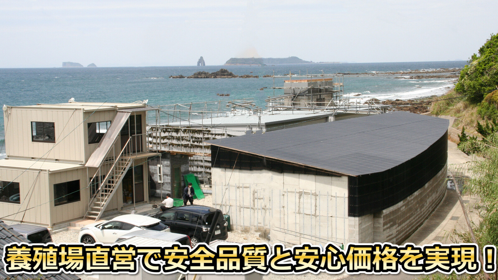長崎五島灘の綺麗な海水を利用している養殖場直営で安全品質と安心価格を実現！